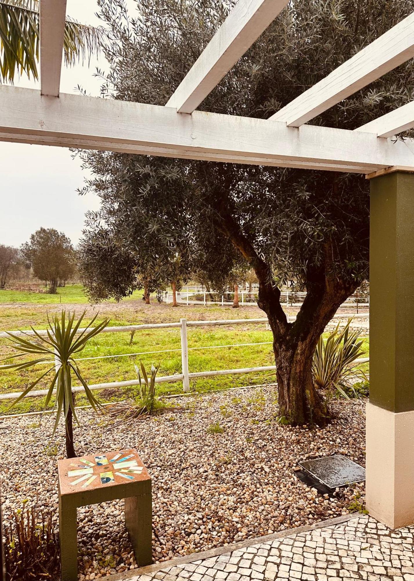 Quinta Do Pinheiro Hotel E Eventos By Grupo Quinta Dos Lagos Valado de Frades Eksteriør bilde