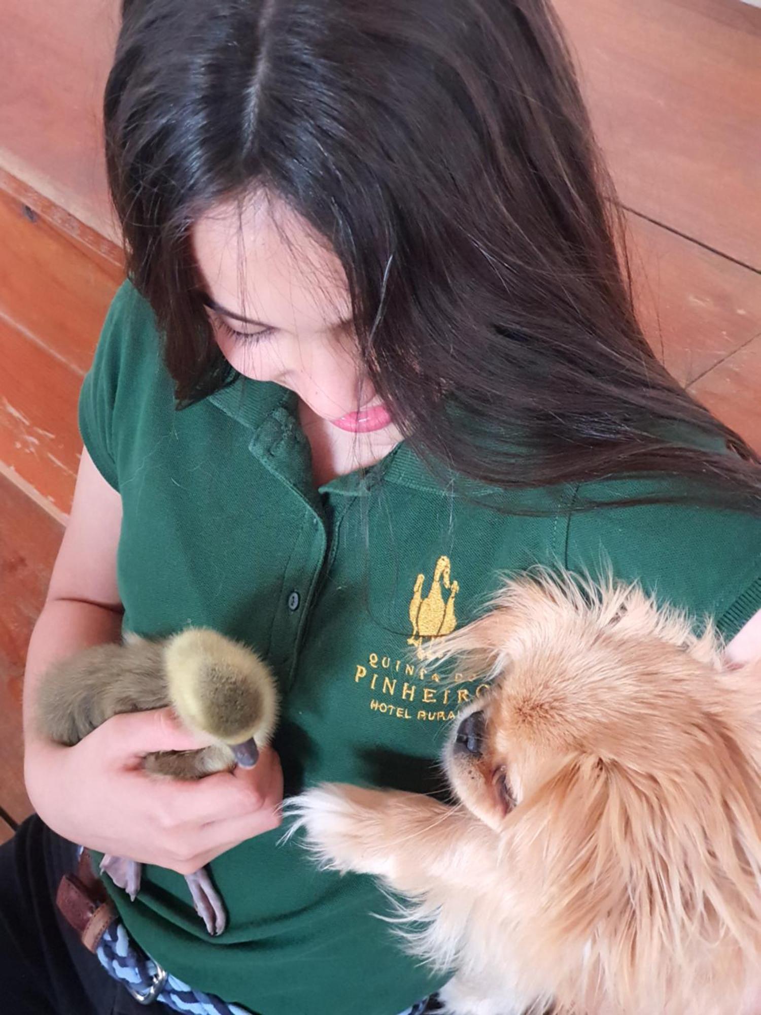 Quinta Do Pinheiro Hotel E Eventos By Grupo Quinta Dos Lagos Valado de Frades Eksteriør bilde