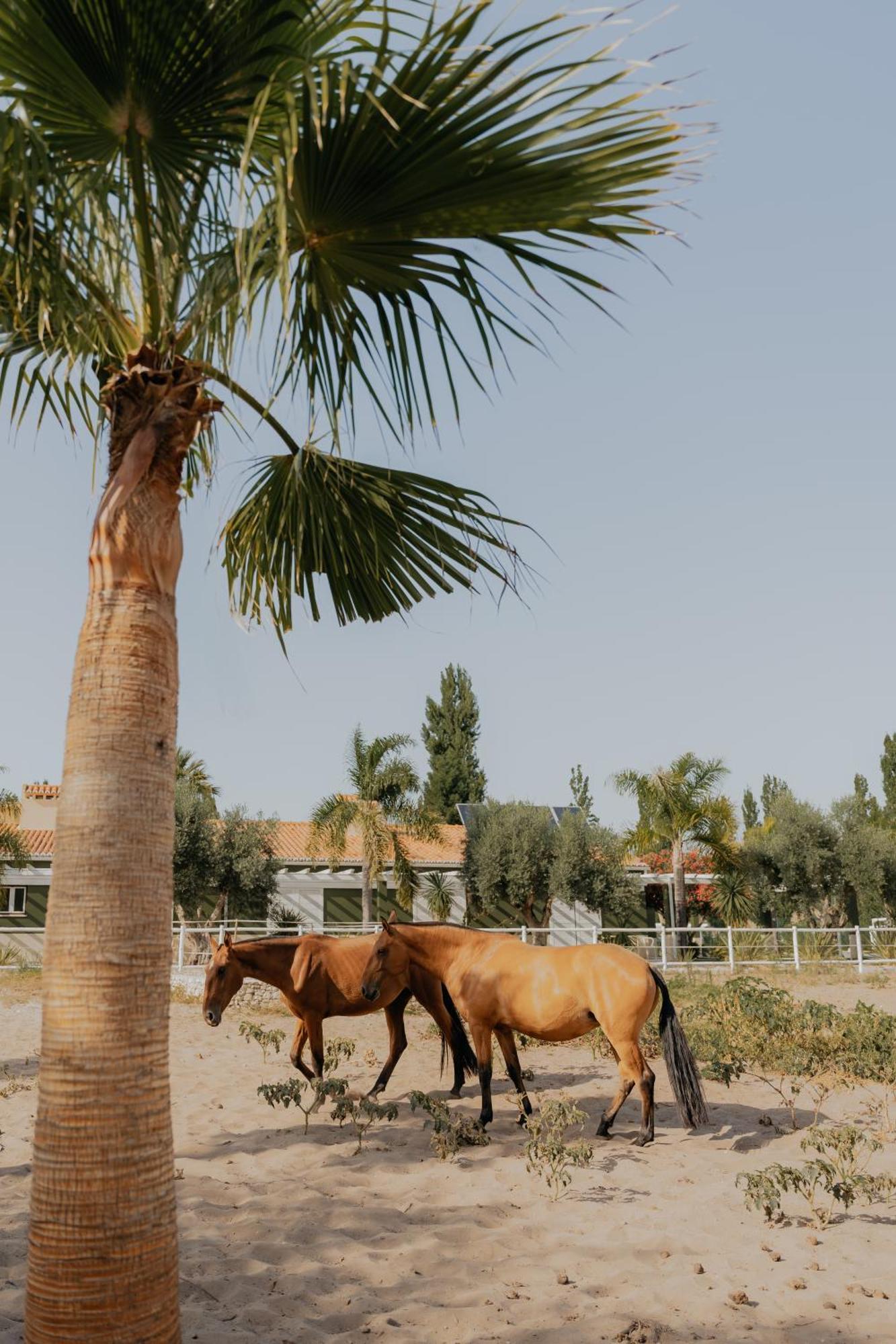 Quinta Do Pinheiro Hotel E Eventos By Grupo Quinta Dos Lagos Valado de Frades Eksteriør bilde