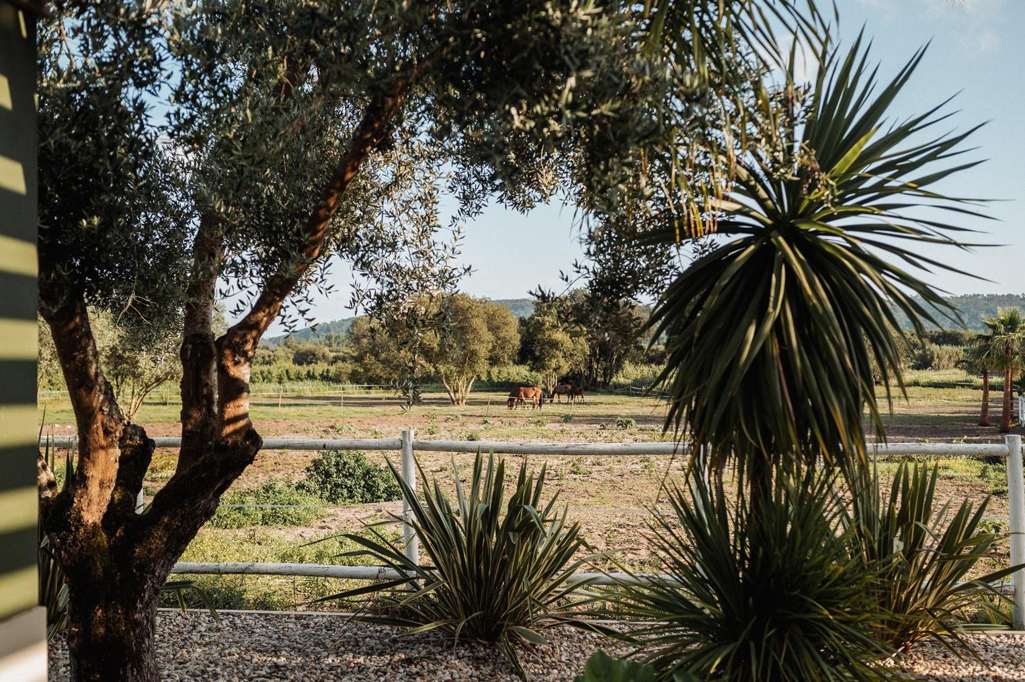 Quinta Do Pinheiro Hotel E Eventos By Grupo Quinta Dos Lagos Valado de Frades Eksteriør bilde